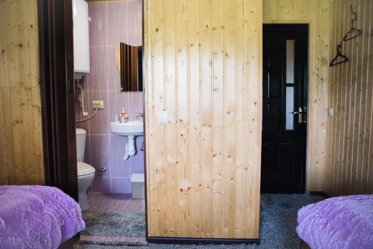 Vila Стежка В Гори Verchovyna Exteriér fotografie